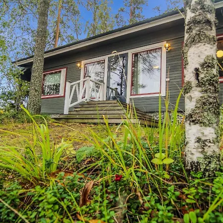 Holiday Juniperus *